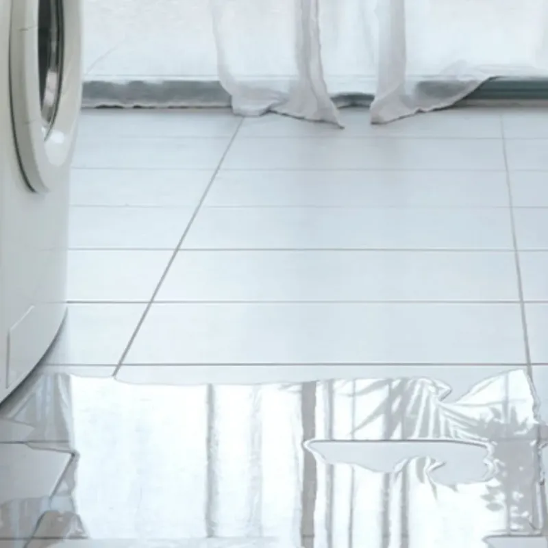 Appliance Leak Cleanup in Thurston County, NE