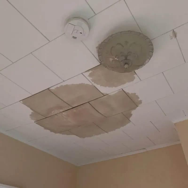 Ceiling Water Damage Repair in Thurston County, NE