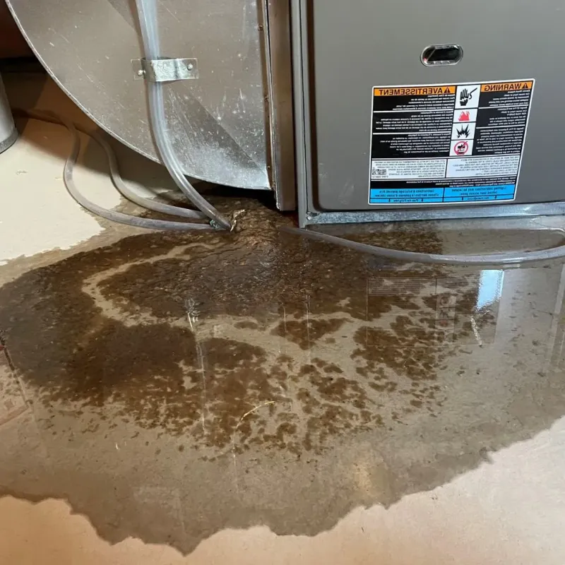 Pipe Burst and Leak Restoration in Thurston County, NE