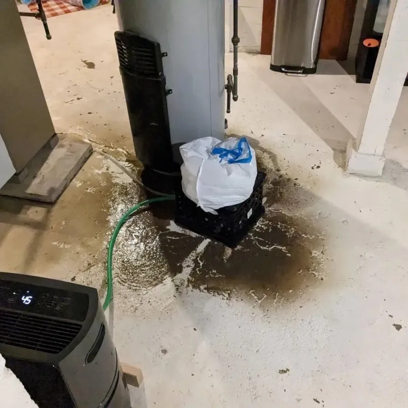 Sewage Backup Cleanup Service in Thurston County, NE